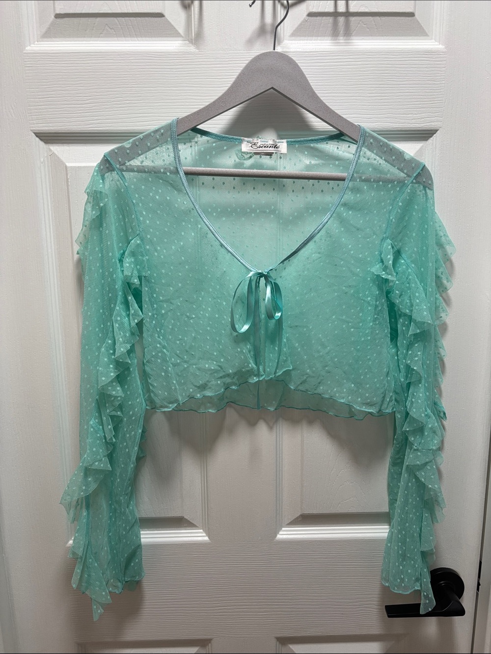 Sheer Mint Tie-Front Ruffle Blouse